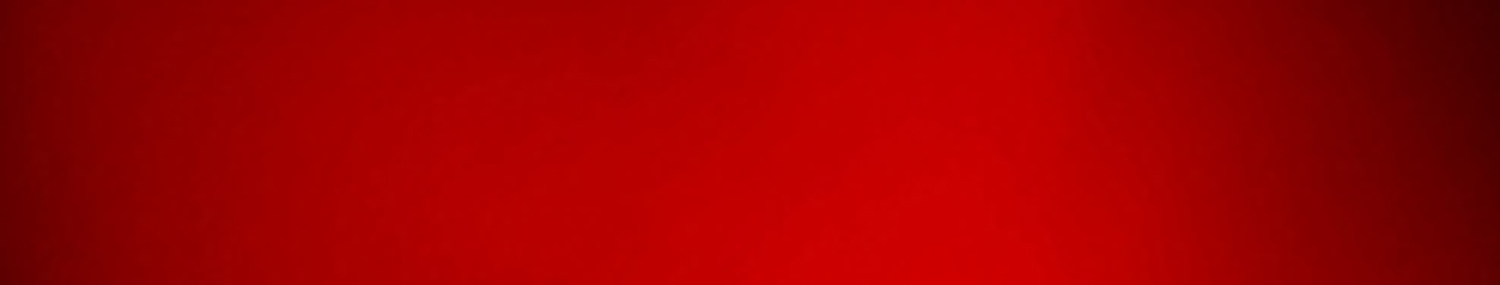Syndicale rechten